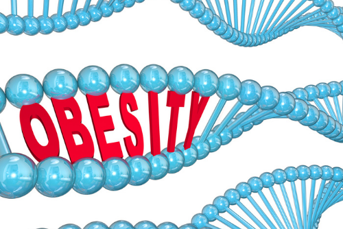 Morbid obesity BMI chart: Am I morbidly obese? Jet Medical Tourism®