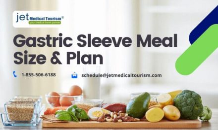 Gastric Sleeve Meal Size Plan