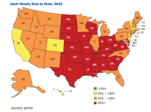 The Most Obese States in America 2025 - Jet Medical Tourism®